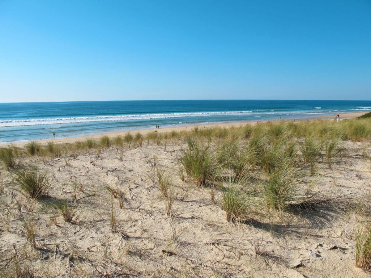 Holiday Home Residence Dune Blanche - Ocean1 By Interhome ビスカロッス・プラージュ エクステリア 写真